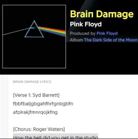 Brain Damage - Pink Floyd : r/HelicopterAddict