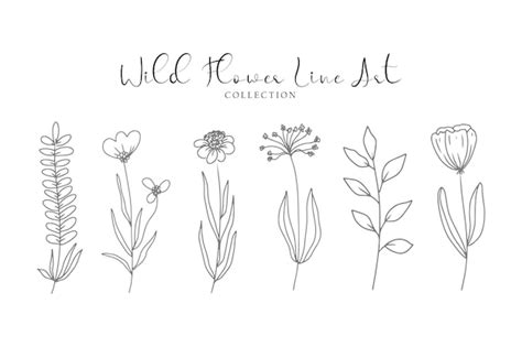 Premium Vector | A set of aesthetic cute flower and leaf line art