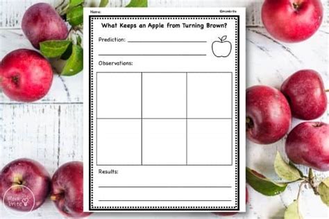 Apple Oxidation Science Experiment [Free Worksheet] | Mombrite