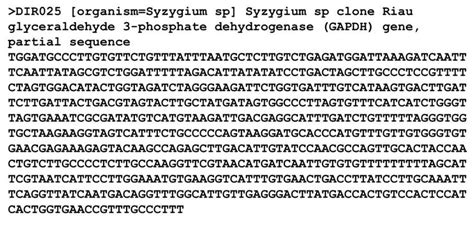 The GAPDH partial DNA sequence of durik-durik (Syzygium sp.). | Download Scientific Diagram