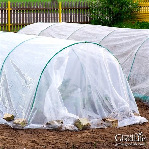 The List Of 20+ How To Cover Your Plants For Frost