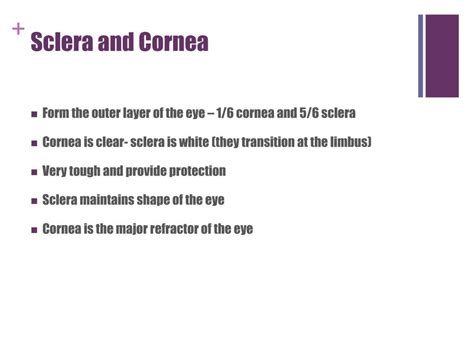 PPT - Structure and Function of the Eye PowerPoint Presentation, free ...