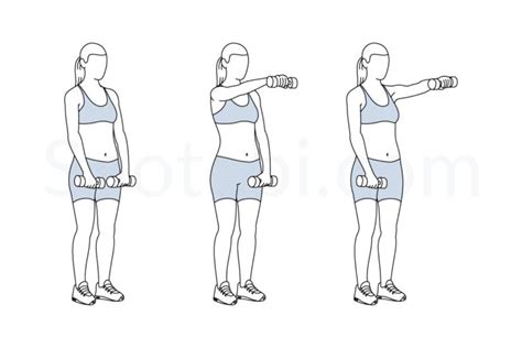 Dumbbell Front Raise | Illustrated Exercise Guide