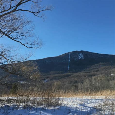 Guided Hike Series: Mt. Greylock | Williamstown Rural Lands