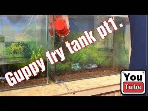 How to set up a guppy fry tank - Part 1 - YouTube