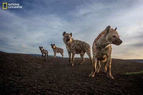 Nat Geo Photo Director’s Thoughts on the 2023 ‘Pictures of the Year’ | PetaPixel