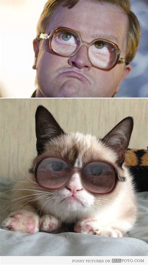 Look alike: Bubbles Grumpy cat | Grumpy cat humor, Grumpy cat, Trailer park boys