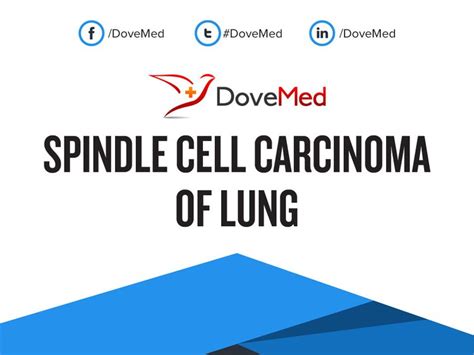 Spindle Cell Carcinoma of Lung