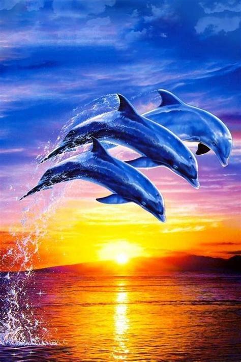 🔥 [100+] Free 3D Dolphin Wallpapers | WallpaperSafari