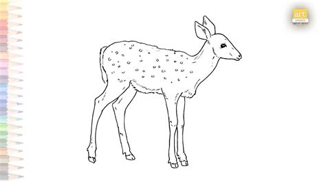 Fawn easy drawing | How to draw Fawn step by step | baby deer drawing ...