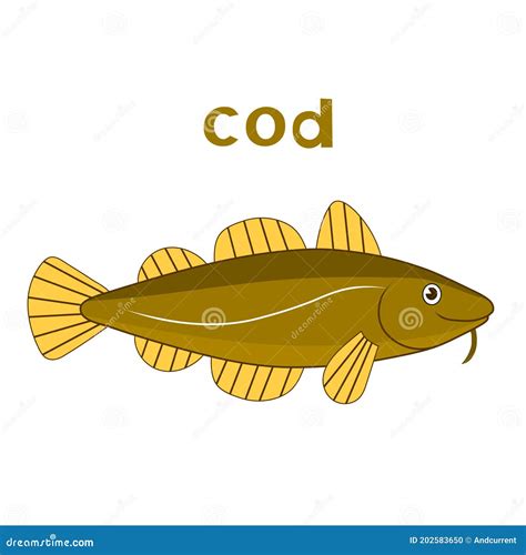 Cod Fish. Vector Cartoon Color Brown Image. Stock Vector - Illustration of text, name: 202583650