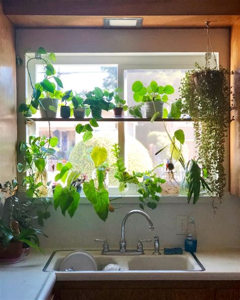 The added plant shelf to the kitchen window serves as a privacy screen. Plus, makes washing ...