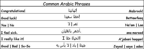 Common Arabic Phrases - Learn Arabic | Arabic phrases, Learn arabic ...