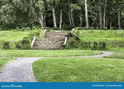 Walk in the Woods stock photo. Image of leading, trees - 56996228