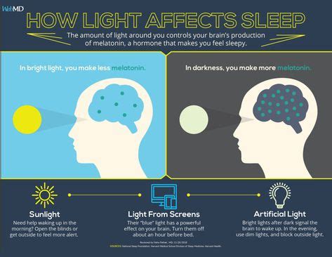 How Light Affects Your Sleep | Sleep, Feeling sleepy, Health knowledge