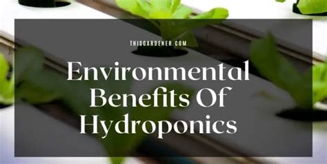 Environmental Benefits Of Hydroponics