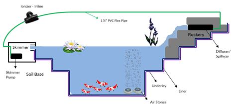 How to Build a Koi Pond - Ultimate Step by Step Guide - Marquis Gardens Koi Pond Backyard, Diy ...