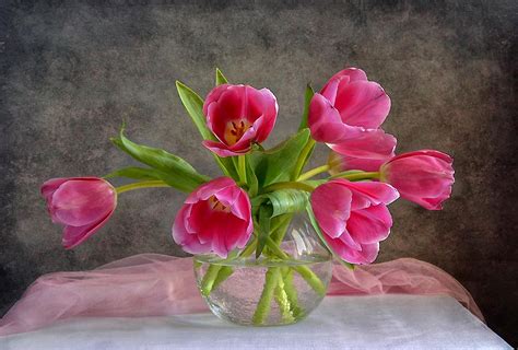 Download Pink Flower Vase Tulip Flower Photography Still Life HD Wallpaper