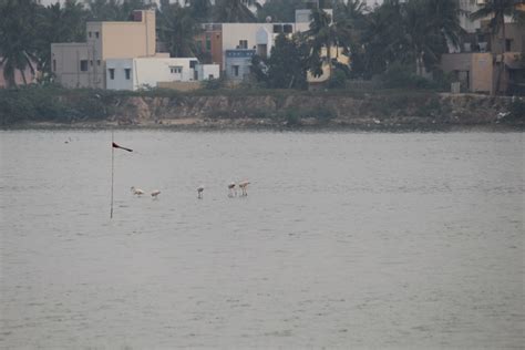 Porur Lake - Holiday Landmark Blog