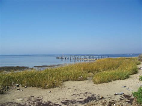 Apalachee Bay | Coastal, Wildlife, Estuary | Britannica