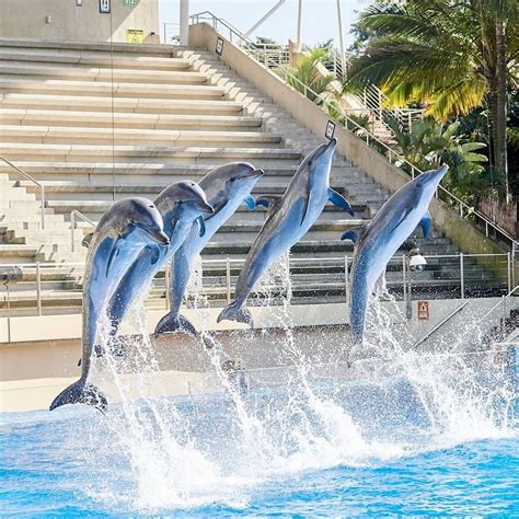 uShaka Marine World: latest fees, aquarium, operating hours, animals ...