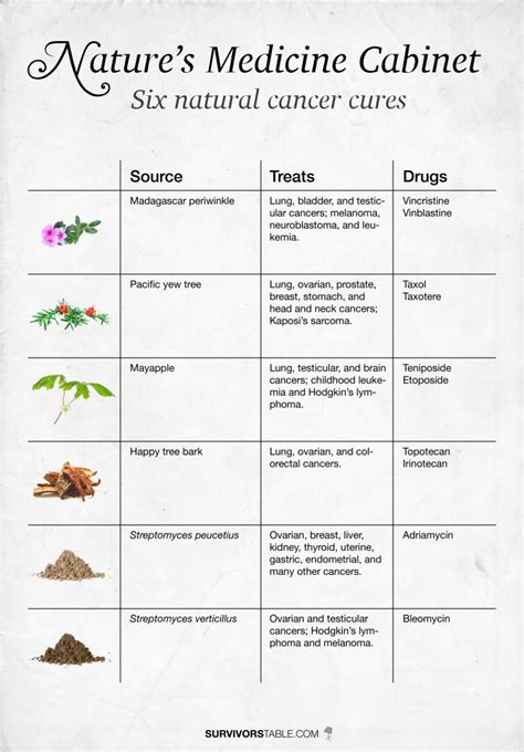 Natural remedies never become medicine—fact or fiction? – Survivors' Table