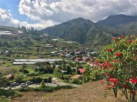 Sabah, Malaysia: A Trip to the Mountain Town of Kundasang - She Walks the World