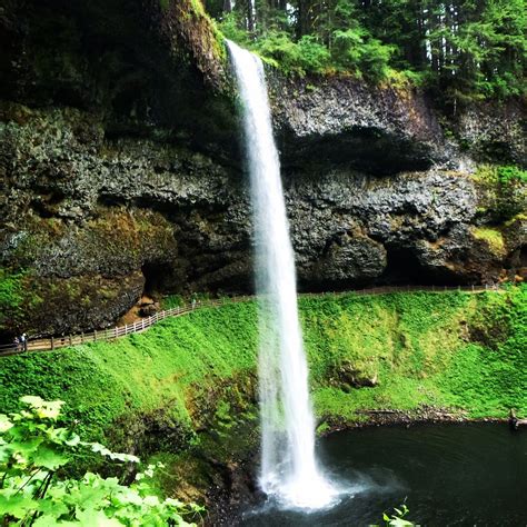 Best Trails in Silver Falls State Park - Oregon | AllTrails