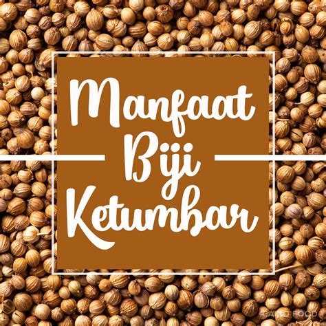 Manfaat Biji Ketumbar - Cairo Food - All Arabian & Indian Food