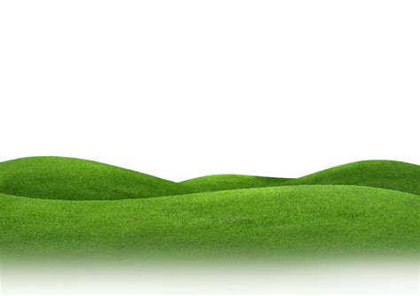 Grassland PNG Transparent Images | PNG All