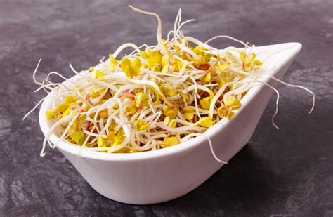 Nutritional Gems: Exploring Radish Sprouts Benefits