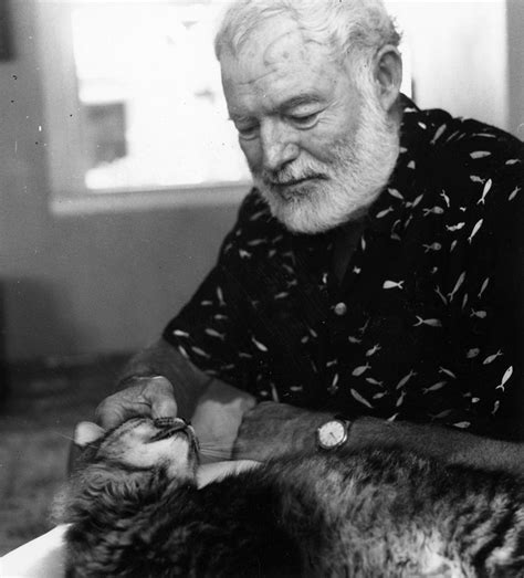 “One cat just leads to another.” Ernest Hemingway