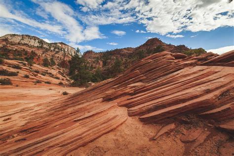 10 Best Hikes in Zion National Park, Utah | The Planet D