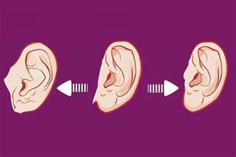 23andMe Helps Reveal The Surprising Genetics Of Earlobes