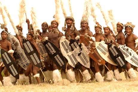 Traditional Zulu shield history, information and facts