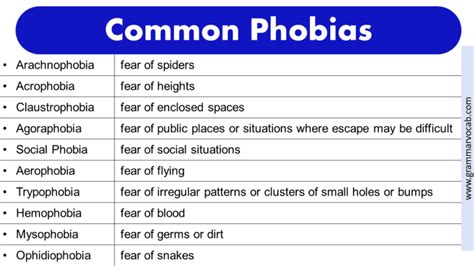 List of Phobias: Funny Phobias - Rarest Phobias -Weird Phobias | PDF - GrammarVocab