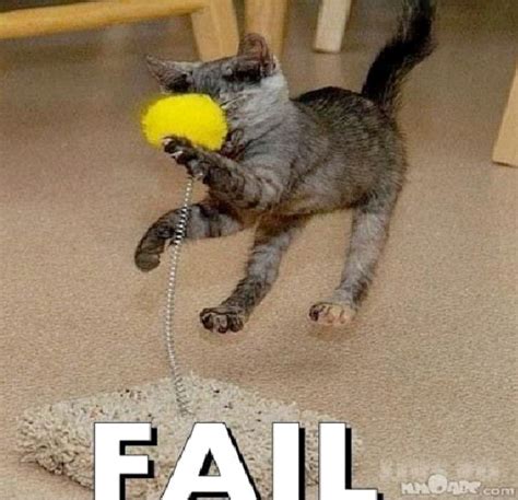 Misjudged-Funny Animal Fails