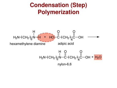 PPT - Chapter 15: Polymers - Characteristics, Applications, and Processing PowerPoint ...