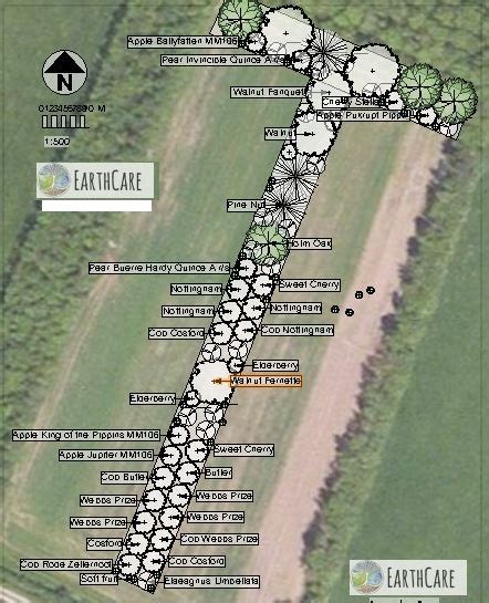 Agroforestry Design + Planting - Earthcare