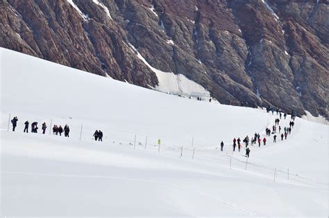 The Glacier Jungfrau Hiking - Free photo on Pixabay - Pixabay