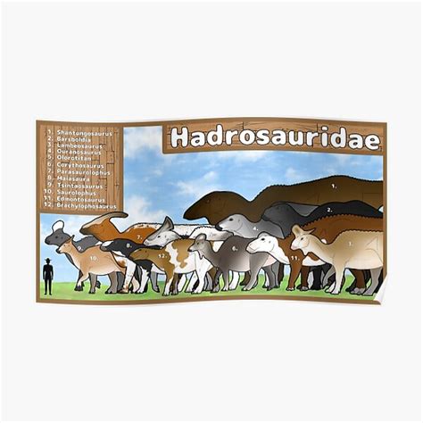 "Hadrosauridae Size Chart" Poster for Sale by charyzard | Redbubble