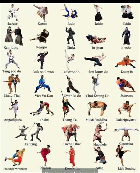 Pin by Maritza Vazquez on Mix Martial Arts | Martial arts, Martial arts workout, Martial arts ...