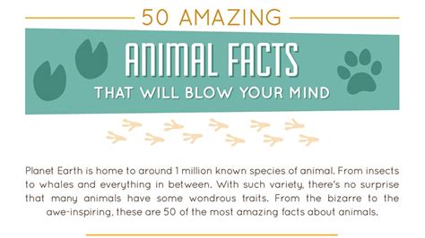 50 Mind-Blowing Facts from the Animal World - Infographic