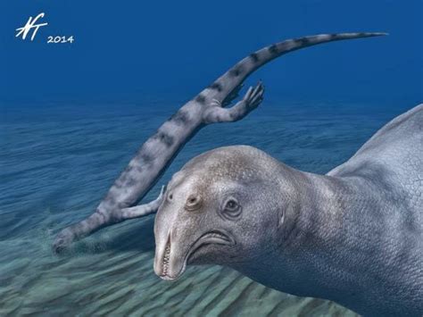 This is an artist's impression of "Atopodentatus unicus"; a full skeleton fossil from the middle ...