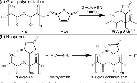 succinic anhydride reaction with amine