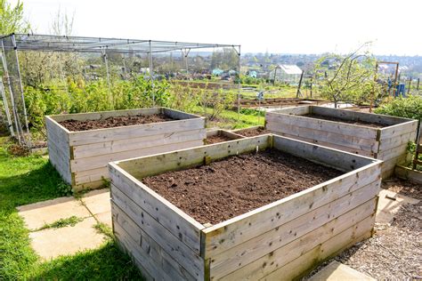 Growing Watermelon in Open Land, in Raised Beds, or on a Trellis - Food Gardening Network