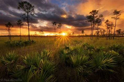 Everglades and Big Cypress | Florida Landscape Photography by Paul Marcellini