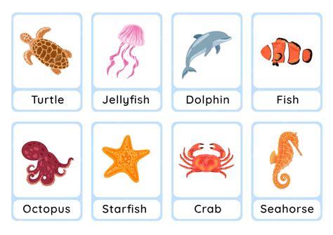 Premium Vector | Ocean animals flashcard collection for children ...