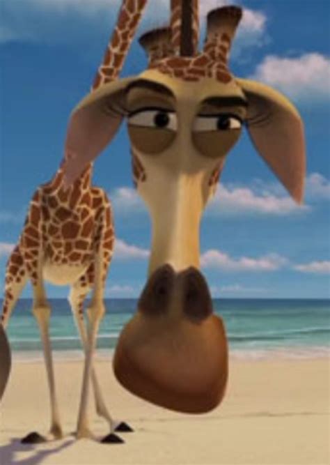 Melman and Gloria (Madagascar Spinoff) Fan Casting on myCast