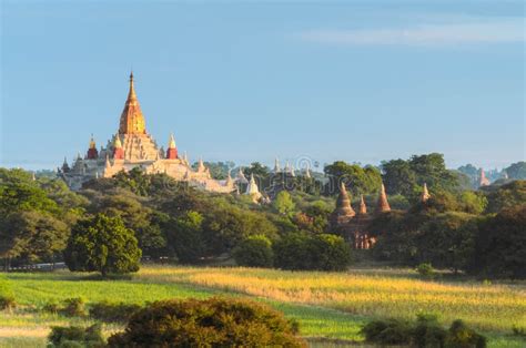 Bagan pagoda with sunrise stock photo. Image of pagoda - 49037632